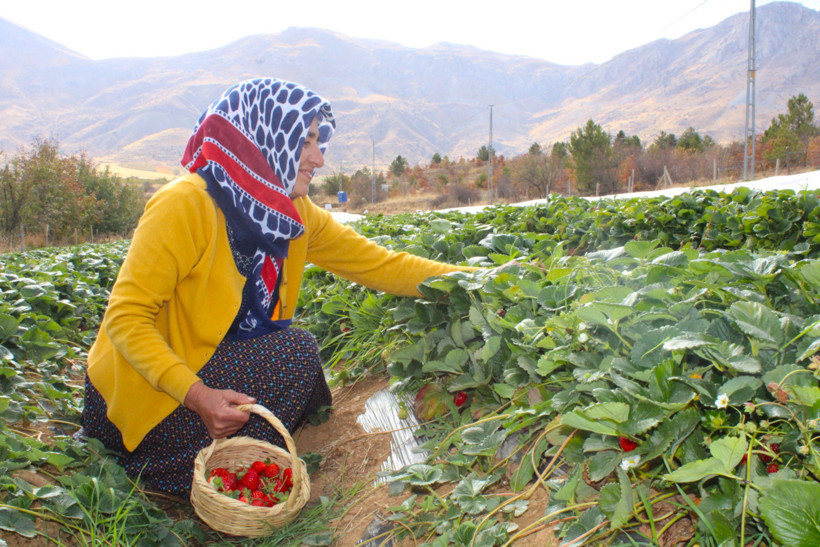 Hobiden kazanç kapısına: Malatya’da kendi markasını yarattı - Resim : 1