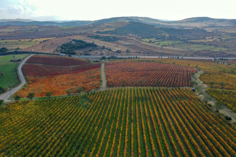 Yanık Ülke'de sonbahar göz kamaştırdı - Resim: 5