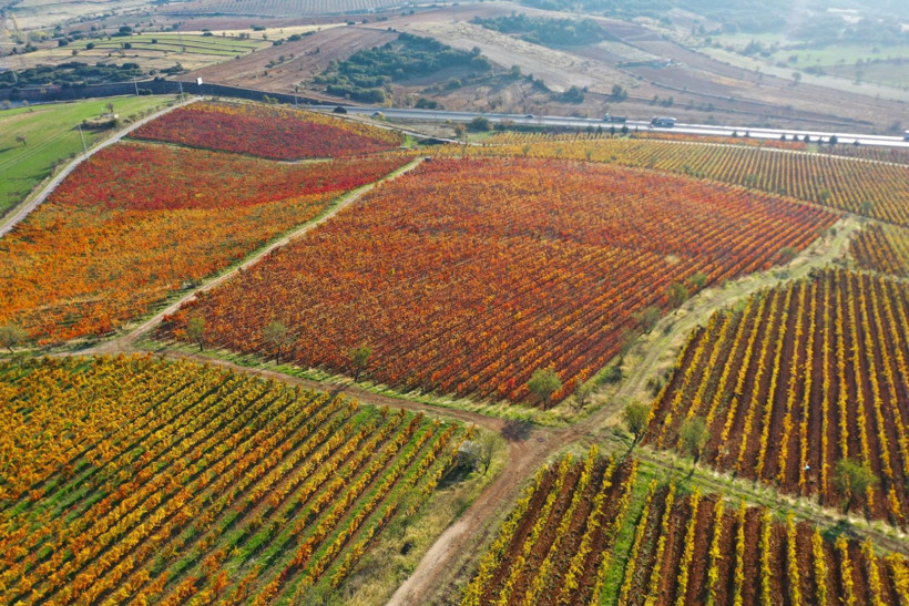 Yanık Ülke'de sonbahar göz kamaştırdı - Resim: 8