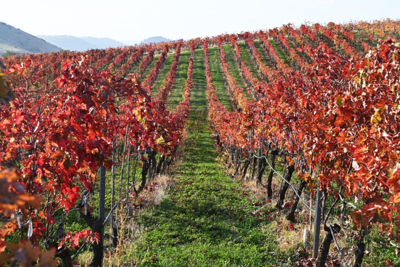 Yanık Ülke'de sonbahar göz kamaştırdı - Resim: 9
