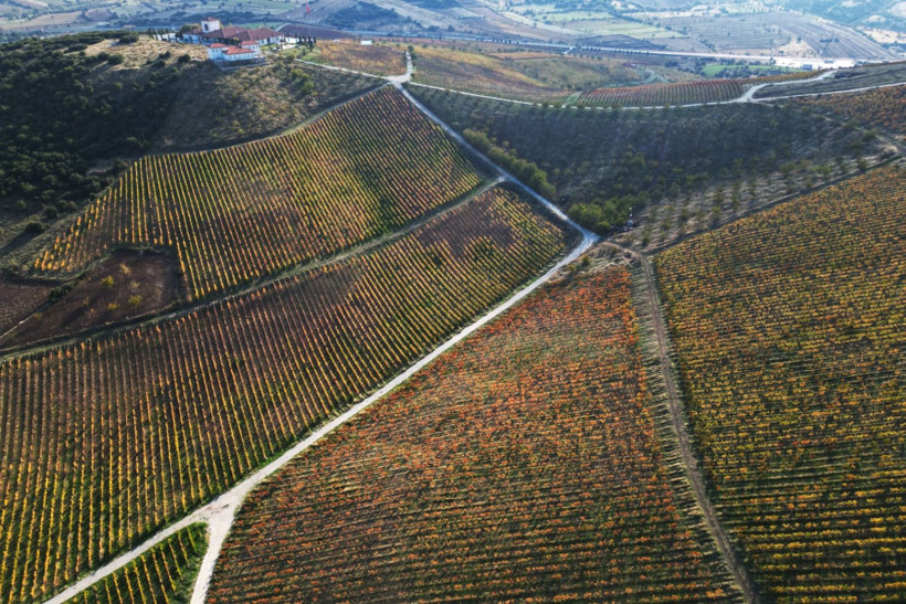 Yanık Ülke'de sonbahar göz kamaştırdı - Resim: 10