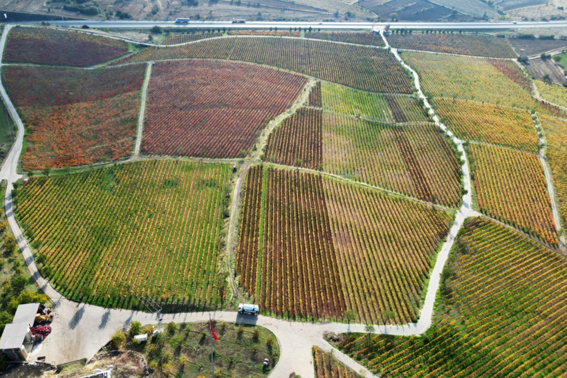 Yanık Ülke'de sonbahar göz kamaştırdı - Resim: 11