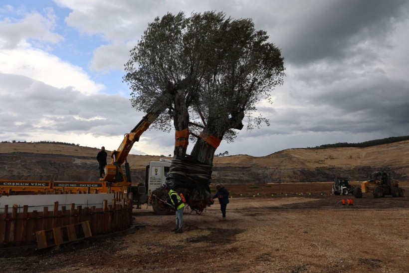 300 yıl sonra taşındı - Resim: 1
