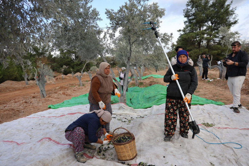 300 yıl sonra taşındı - Resim: 3