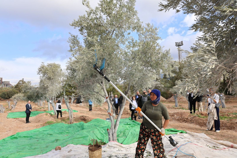 300 yıl sonra taşındı - Resim: 8