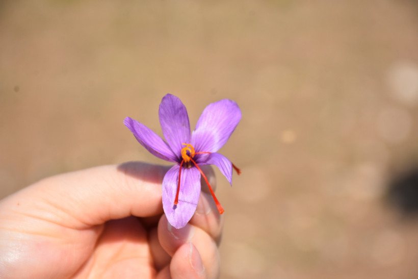 Eşi beyin tümörüyle savaşırken bulamadı, artık kendi üretiyor - Resim : 2