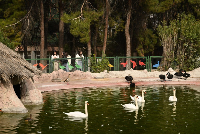 9 günde 300 binden fazla kişi akın etti - Resim: 2