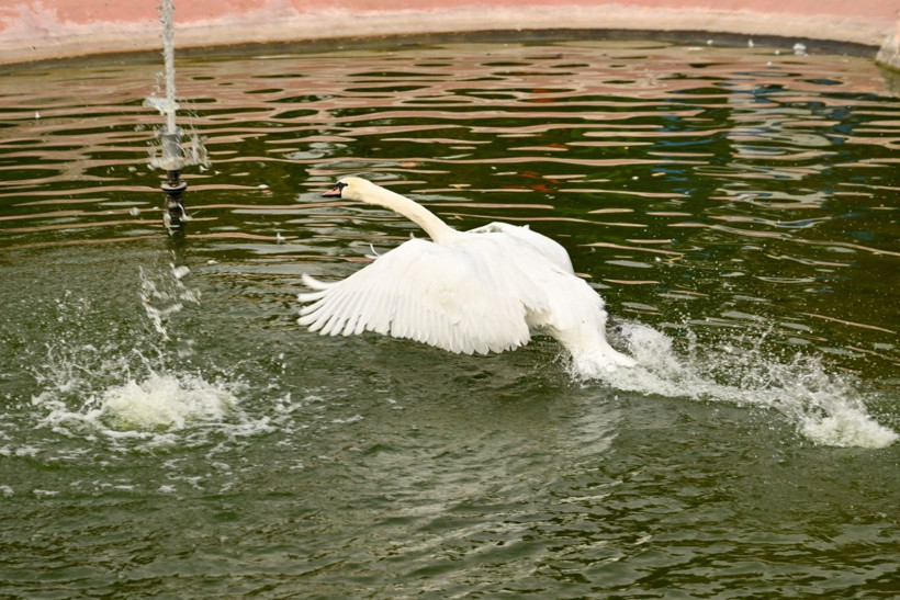 9 günde 300 binden fazla kişi akın etti - Resim: 3