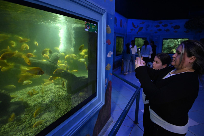 9 günde 300 binden fazla kişi akın etti - Resim: 5