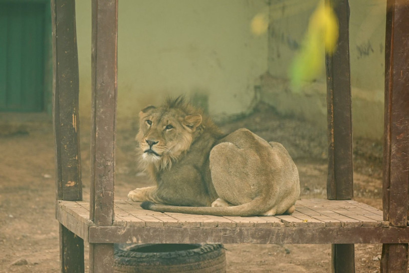 9 günde 300 binden fazla kişi akın etti - Resim: 9