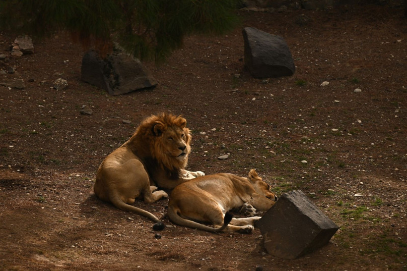 9 günde 300 binden fazla kişi akın etti - Resim: 11