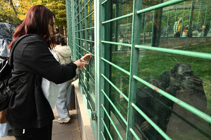 9 günde 300 binden fazla kişi akın etti - Resim: 14