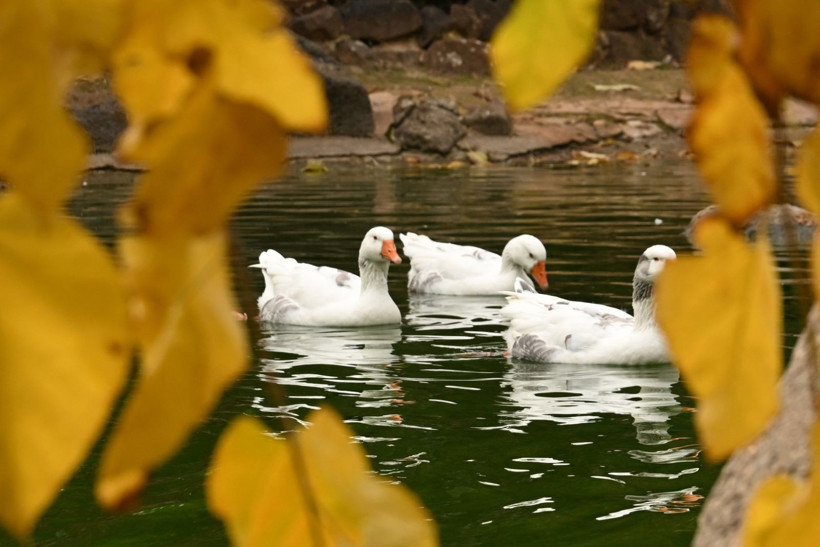 9 günde 300 binden fazla kişi akın etti - Resim: 18