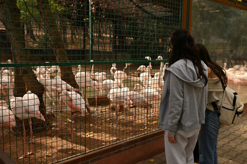 9 günde 300 binden fazla kişi akın etti - Resim: 19
