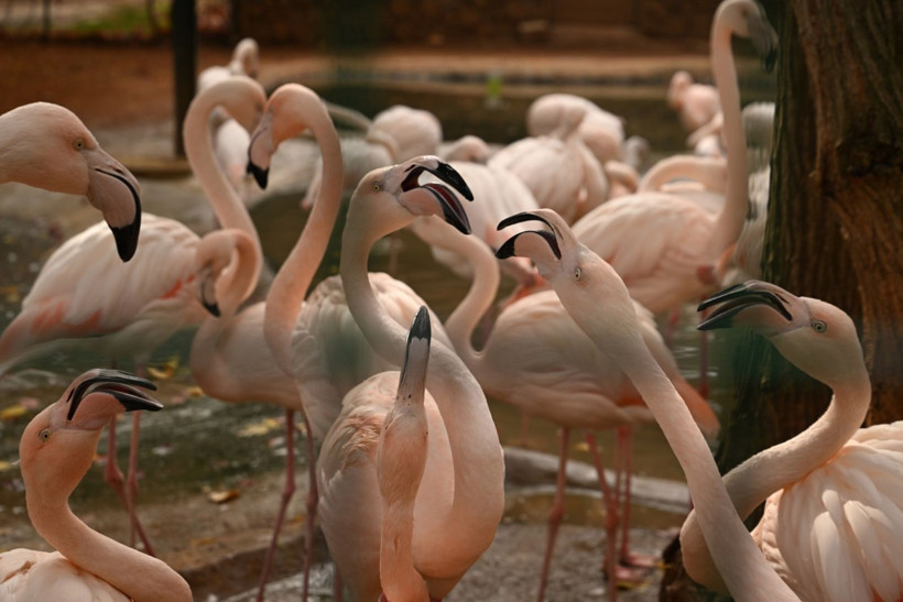 9 günde 300 binden fazla kişi akın etti - Resim: 21