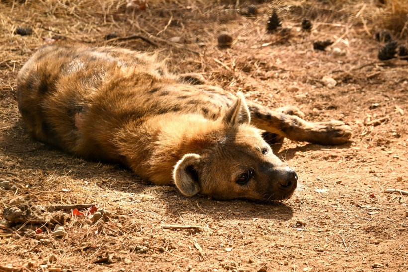 9 günde 300 binden fazla kişi akın etti - Resim: 27