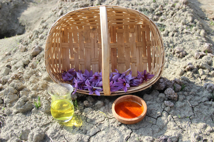 Denemek için ekti, dünyanın en pahalı baharatını yetiştirdi - Resim : 1