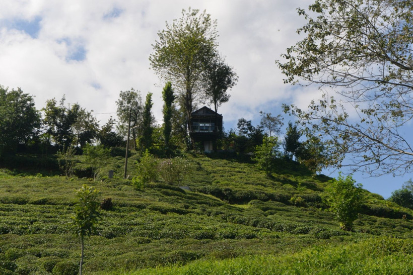 Hayalleri gerçek oldu: Çöpten ağaçkondu yaptılar - Resim: 1