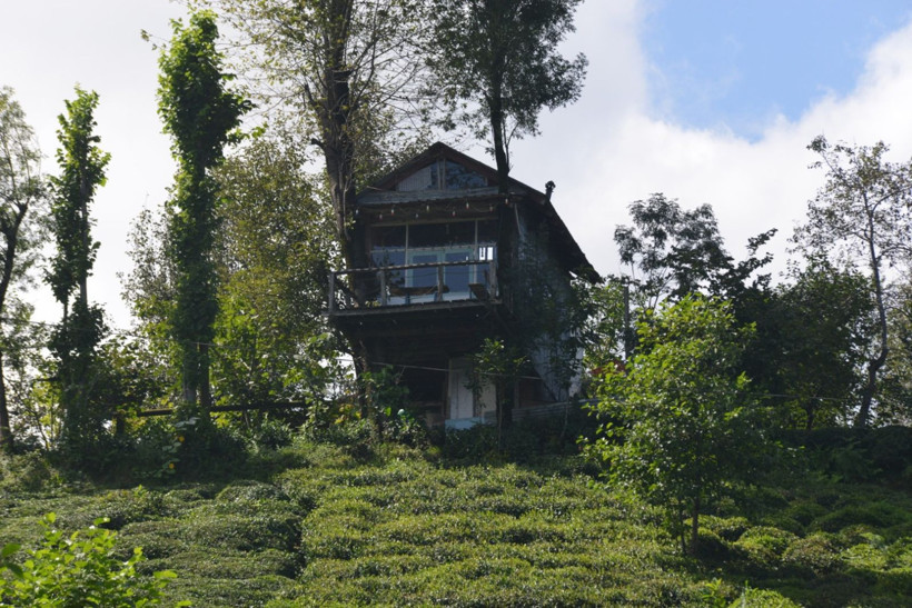 Hayalleri gerçek oldu: Çöpten ağaçkondu yaptılar - Resim: 5