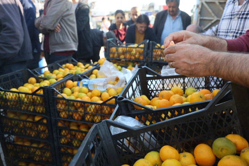 Afet onları teğet geçti ama tonlarca ürün elde kaldı: Bedava dağıttılar - Resim: 6