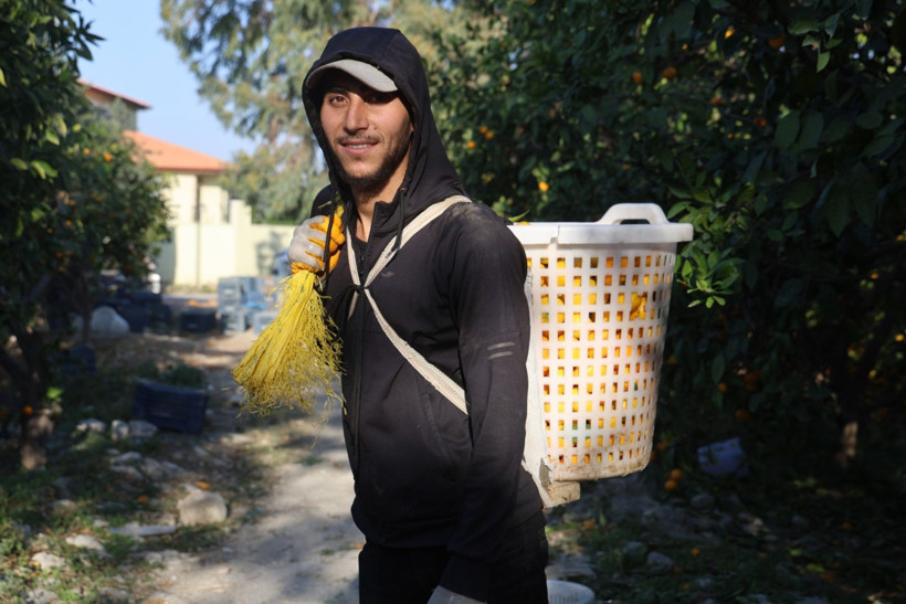 Afet onları teğet geçti ama tonlarca ürün elde kaldı: Bedava dağıttılar - Resim: 7