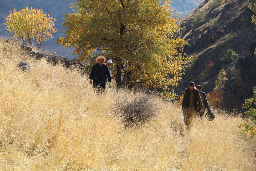 Hasadı için kilometrelerce yürüyorlar! Şifa niyetine toplanan kaya balı 7 bin TL’den satılıyor - Resim : 1