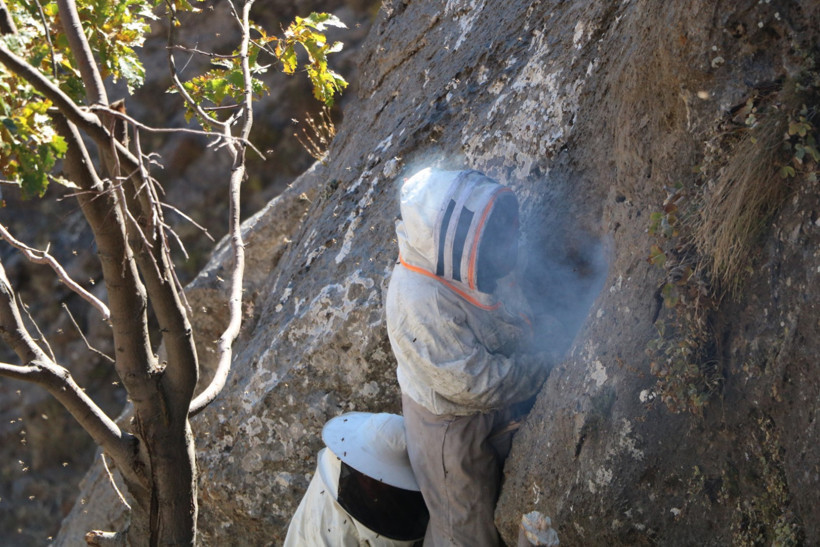 Hasadı için kilometrelerce yürüyorlar! Şifa niyetine toplanan kaya balı 7 bin TL’den satılıyor - Resim : 2