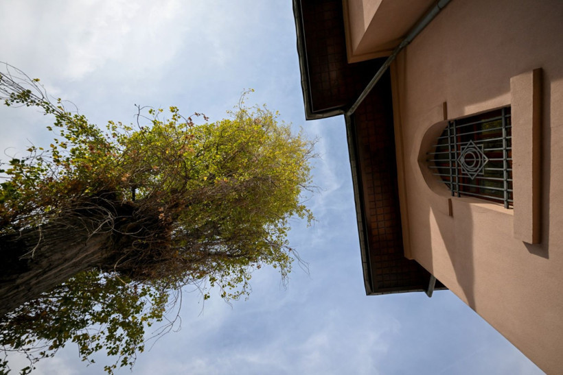 İdamların tanığı 100 yaşında: 'Bu ağacın ağladığını söylerler' - Resim: 2