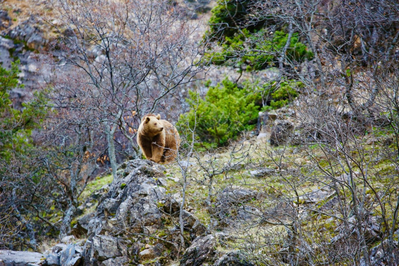 Mahkemeden Munzur kararı: 'Artık imkansız hale geldi' - Resim: 11