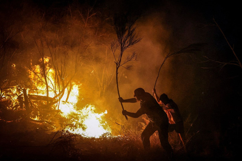 Protestoların, faciaların ve savaşın yılı: Reuters'in kadrajından 2025 - Resim: 7