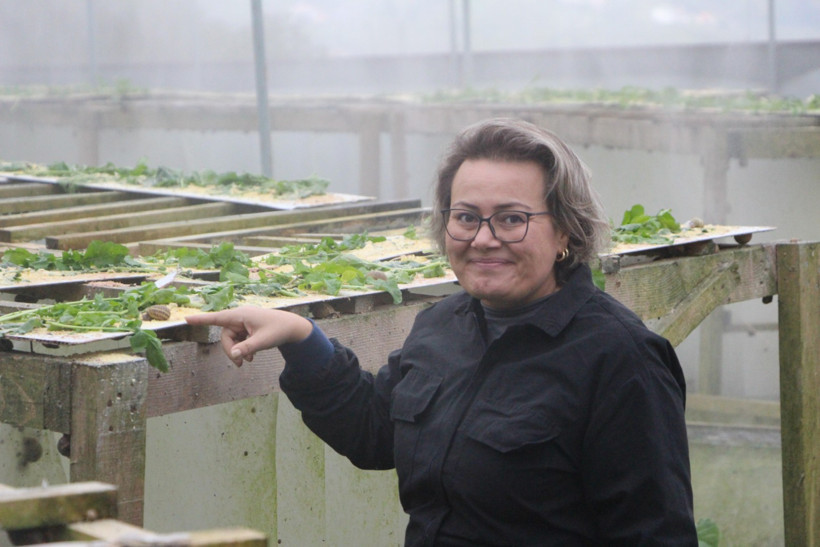 “Beyaz havyar”ı Trabzon'da üretiyor, 3 bin euro’ya satılıyor - Resim : 3