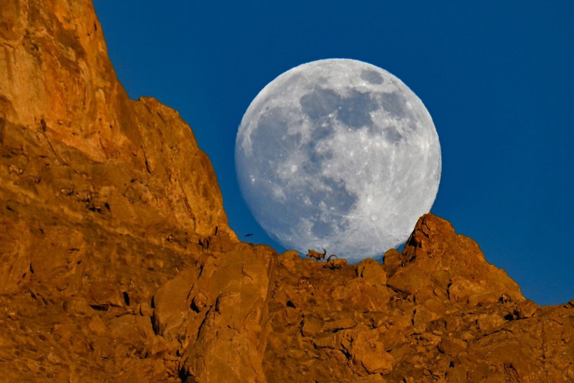 Dolunayın önünde poz verdiler - Resim: 11