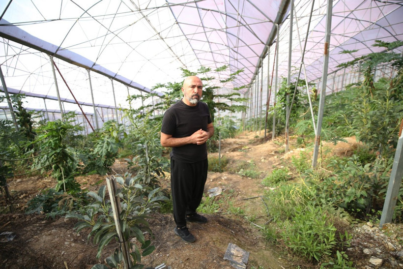 Mango ve avokado gibi değil: Alanya'da üretiyor, taleplere yetişemiyor - Resim: 3