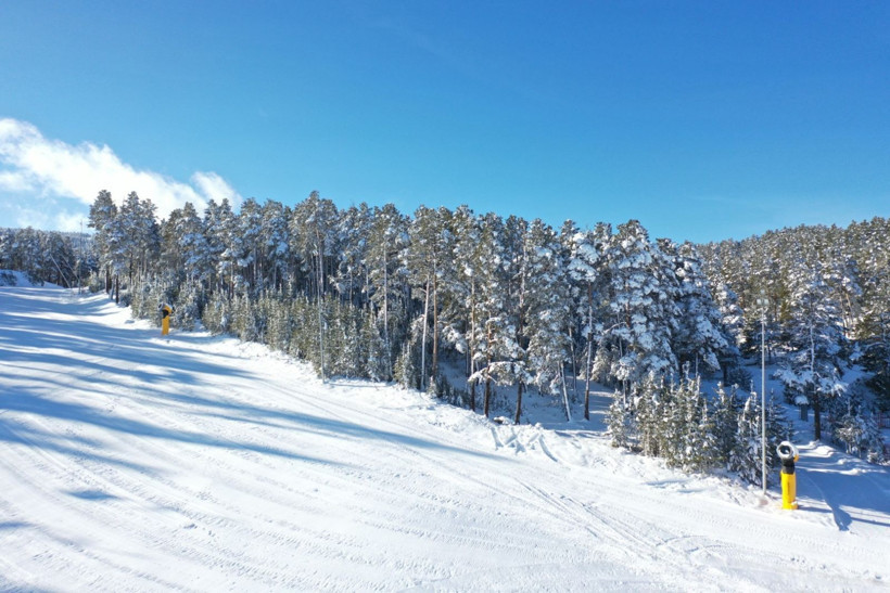 Kars’ta kış masalı! Sarıkamış ormanları karla başka bir güzelliğe kavuştu - Resim: 7