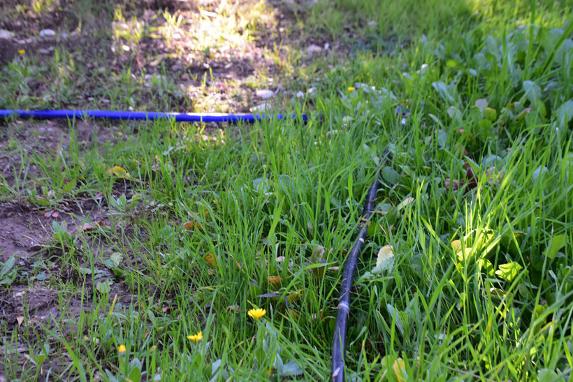 Tarımda kuraklık alarmı: Uzman isim uyardı - Resim : 2