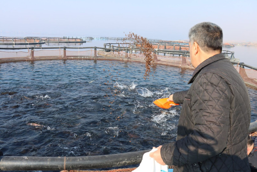 Nehirde üretip dünyaya satıyor: Yılda 5 milyon dolar - Resim: 3