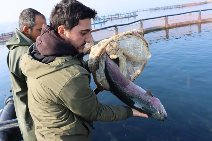 Nehirde üretip dünyaya satıyor: Yılda 5 milyon dolar - Resim: 7