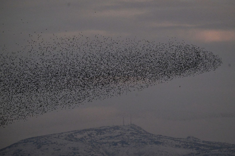 Gün batımında doğanın gösterisi - Resim: 11