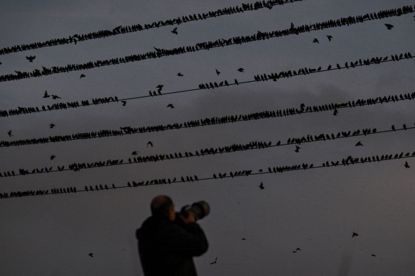 Gün batımında doğanın gösterisi - Resim: 8