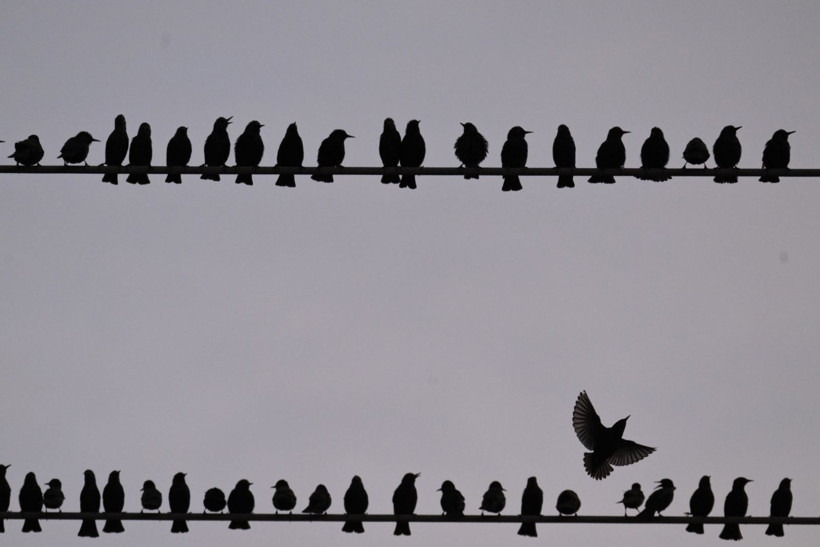 Gün batımında doğanın gösterisi - Resim: 9