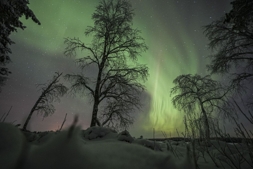 Kuzey ışıkları büyüledi - Resim: 17