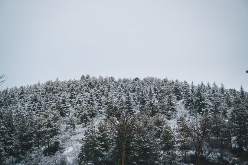 Ankara'da yağmur kara döndü, kent beyaza büründü - Resim: 11
