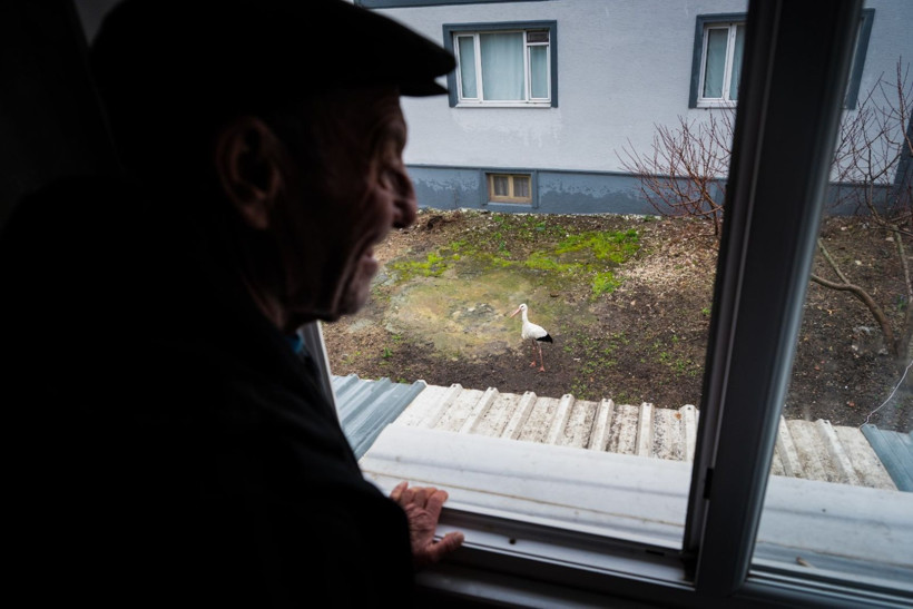 15'inci kez geldi: Nazlı değil Yaren'miş - Resim: 7