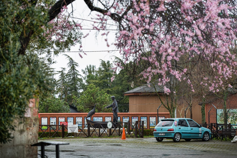 15'inci kez geldi: Nazlı değil Yaren'miş - Resim: 10