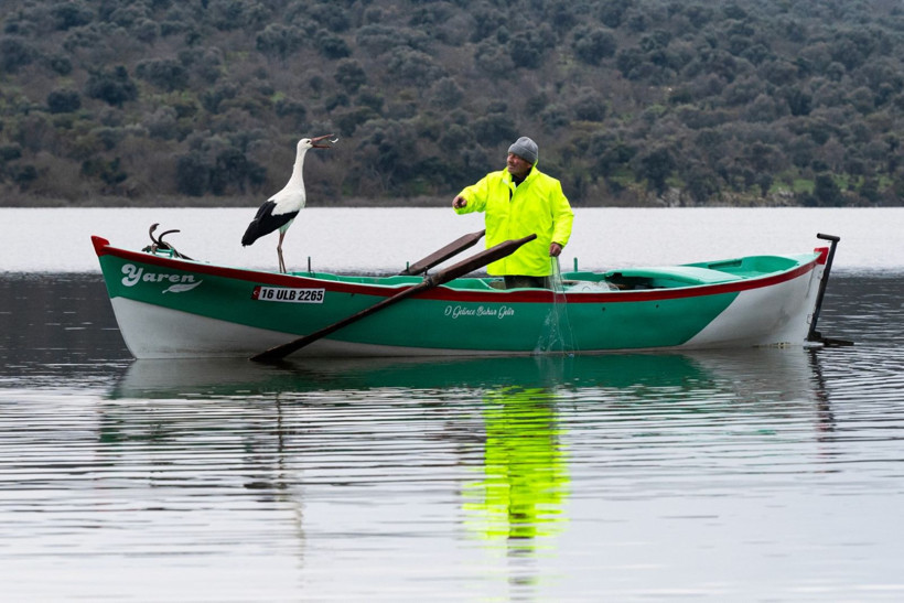 15'inci kez geldi: Nazlı değil Yaren'miş - Resim: 13
