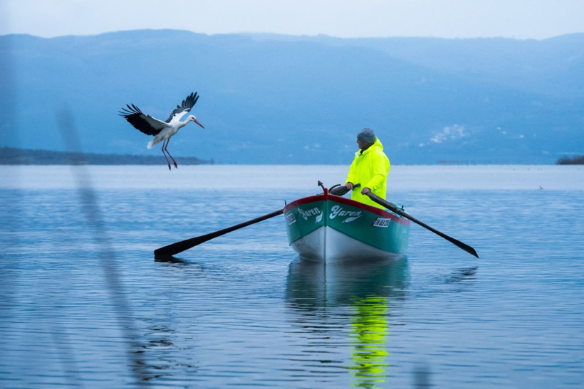 15'inci kez geldi: Nazlı değil Yaren'miş - Resim: 15