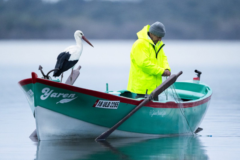 15'inci kez geldi: Nazlı değil Yaren'miş - Resim: 17