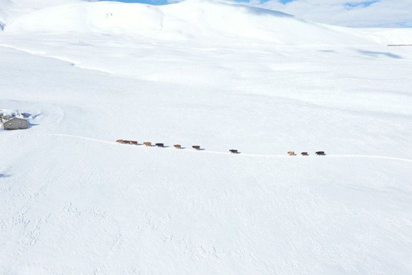 Bahar ayları geldi ama o köy hala metrelerce kar altında - Resim: 1