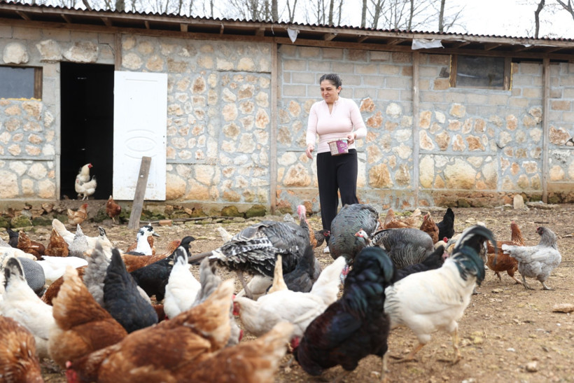 Lüksü bırakıp doğayı seçti! Keçileriyle yaşamaya başladı - Resim : 1
