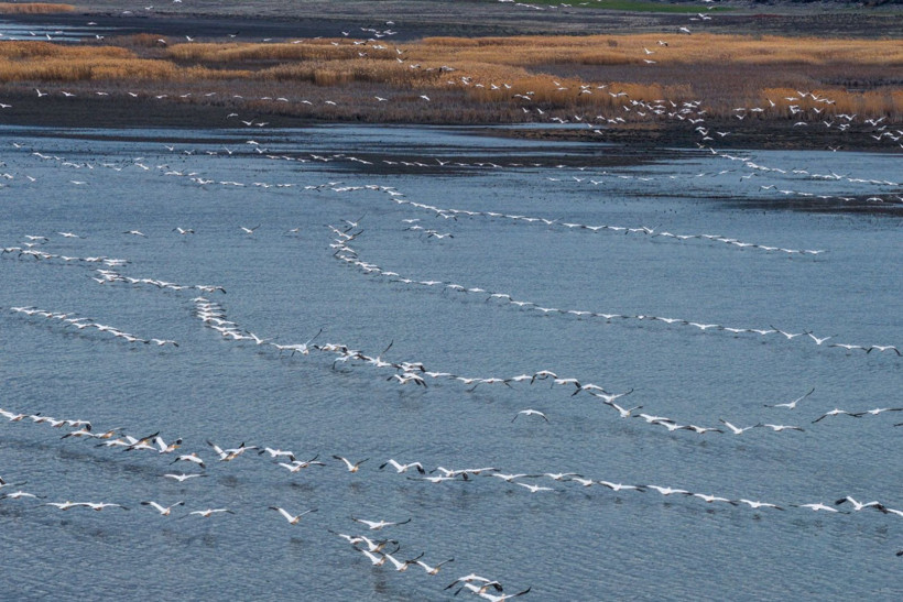 Bir yıl kurudu, bu yıl bambaşka bir manzara sundu - Resim: 9